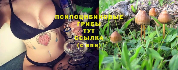 spice Нефтегорск