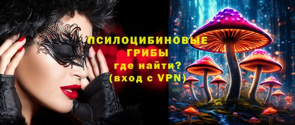 apvp Нея