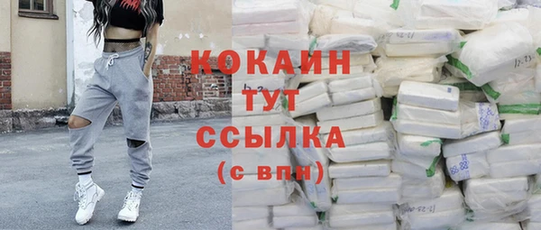 apvp Нея