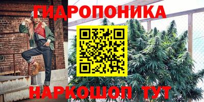 не бодяженный Кингисепп