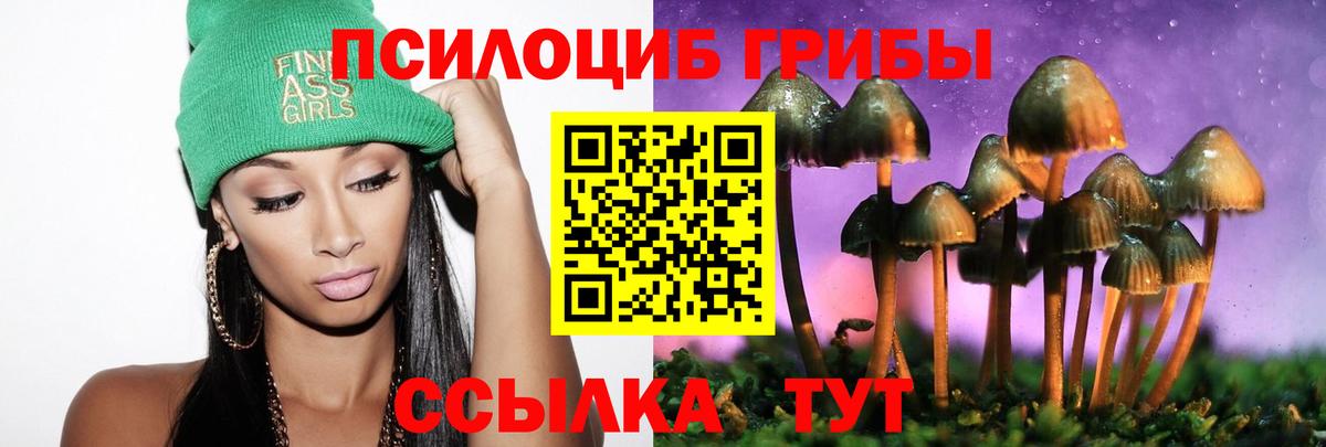 Галлюциногенные грибы Cubensis Ирбит